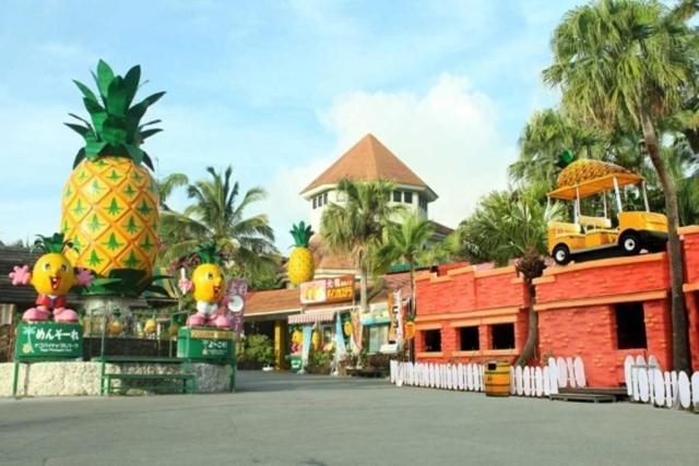 Mizunowa B035 Villa Nago Buitenkant foto